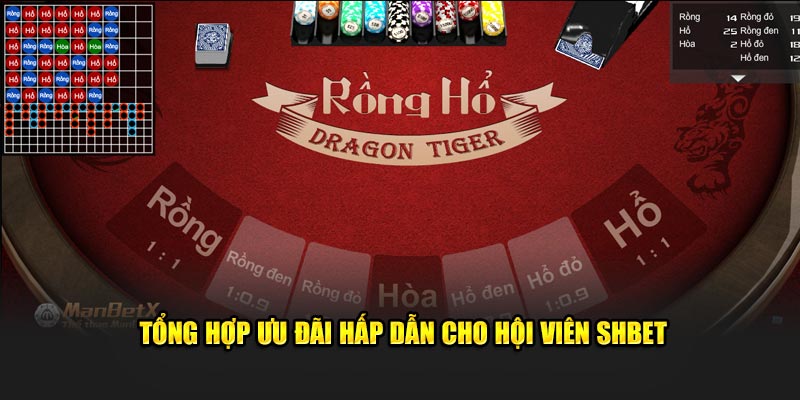 Tổng hợp ưu đãi hấp dẫn cho hội viên SHBET